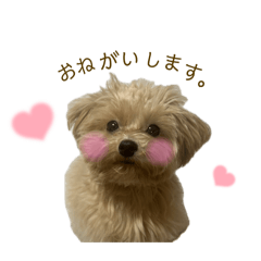 mei_20250220232502