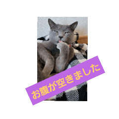 jun_20250221002723