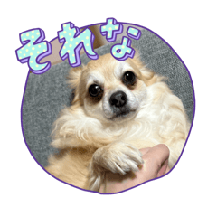 zoomen_20250221002038