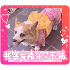 miki_20250221100646