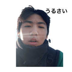 Pom_20250220213224