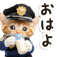 Cat police/greeting/celebration