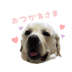 Mochi_20250221121841
