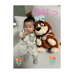 nanape_20250221121820