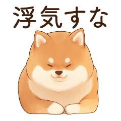 Shiba Inu (Jealous)(spoiled child)