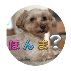 kana_20250220174214
