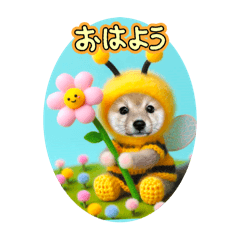 HANA_20250220222136
