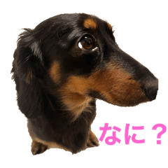 miki_20250221083021