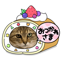 saya_20250221085533