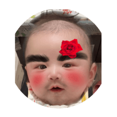 HaoHaobaby2.0