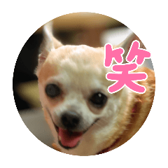 ayatomama_20250220182832