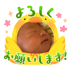 angie_20250220184748