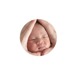 OTRTNP2