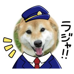 mugi20250221141310