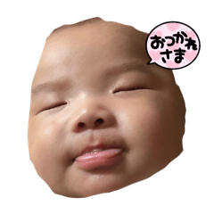 Koto_20250221161720