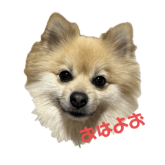 yukina_20250221164131