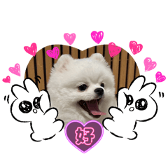 Haru_20250221164320