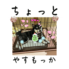 ma_20250220195811
