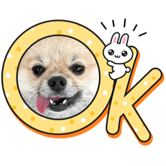 michiko_20250220