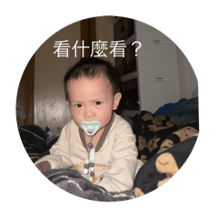楊家！