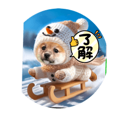HANA_20250221073332