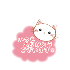 No.9 CAT