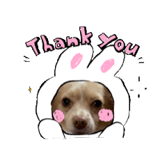 yui_20250221163521 – LINE stickers | LINE STORE