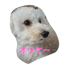 ponta_20250221204102