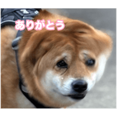 aoi_20250221151058