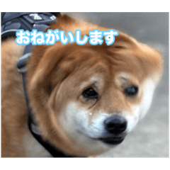 aoi_20250221151312
