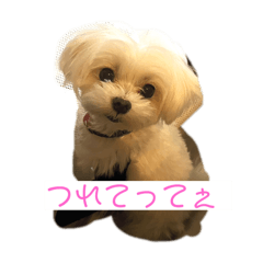 Kaori_20250221085027