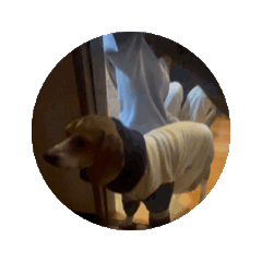 Rino_20250222101303