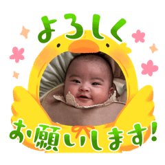yuki_20250221172942