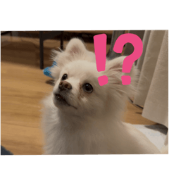 d_20250221233820