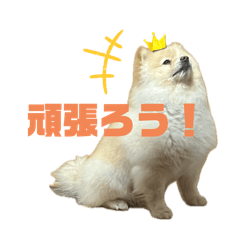 Leo 2024