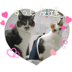 kii_20250221193301