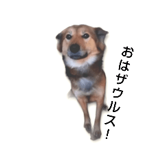 momoka_20250221222337