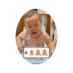 揚揚的小日常