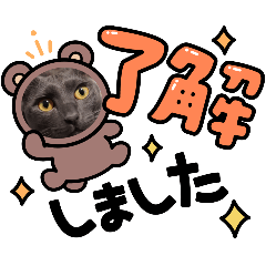 RiRI_20250221201918