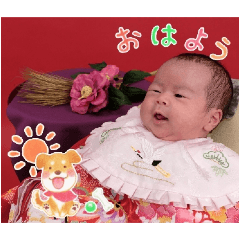 Sumi_20250215