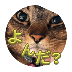 はるファミリー1