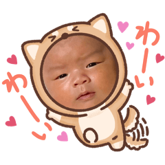 Lily_20250222083747