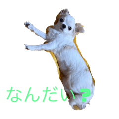 Hinata_20250221163500