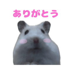 すんすんすんスタンプ - LINE スタンプ | LINE STORE