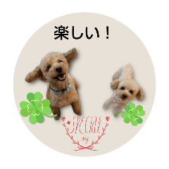 momoka_20250221215607