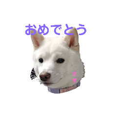 ka_20250221194809