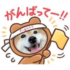 shiho_20250221235055