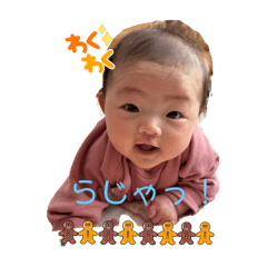 tomo_20250222100548