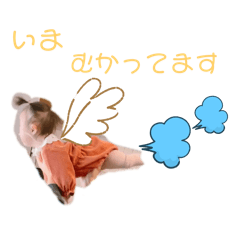 ami_20250221213523