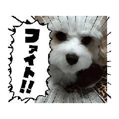 komachi_20250222122152